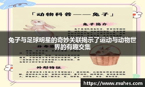 兔子与足球明星的奇妙关联揭示了运动与动物世界的有趣交集